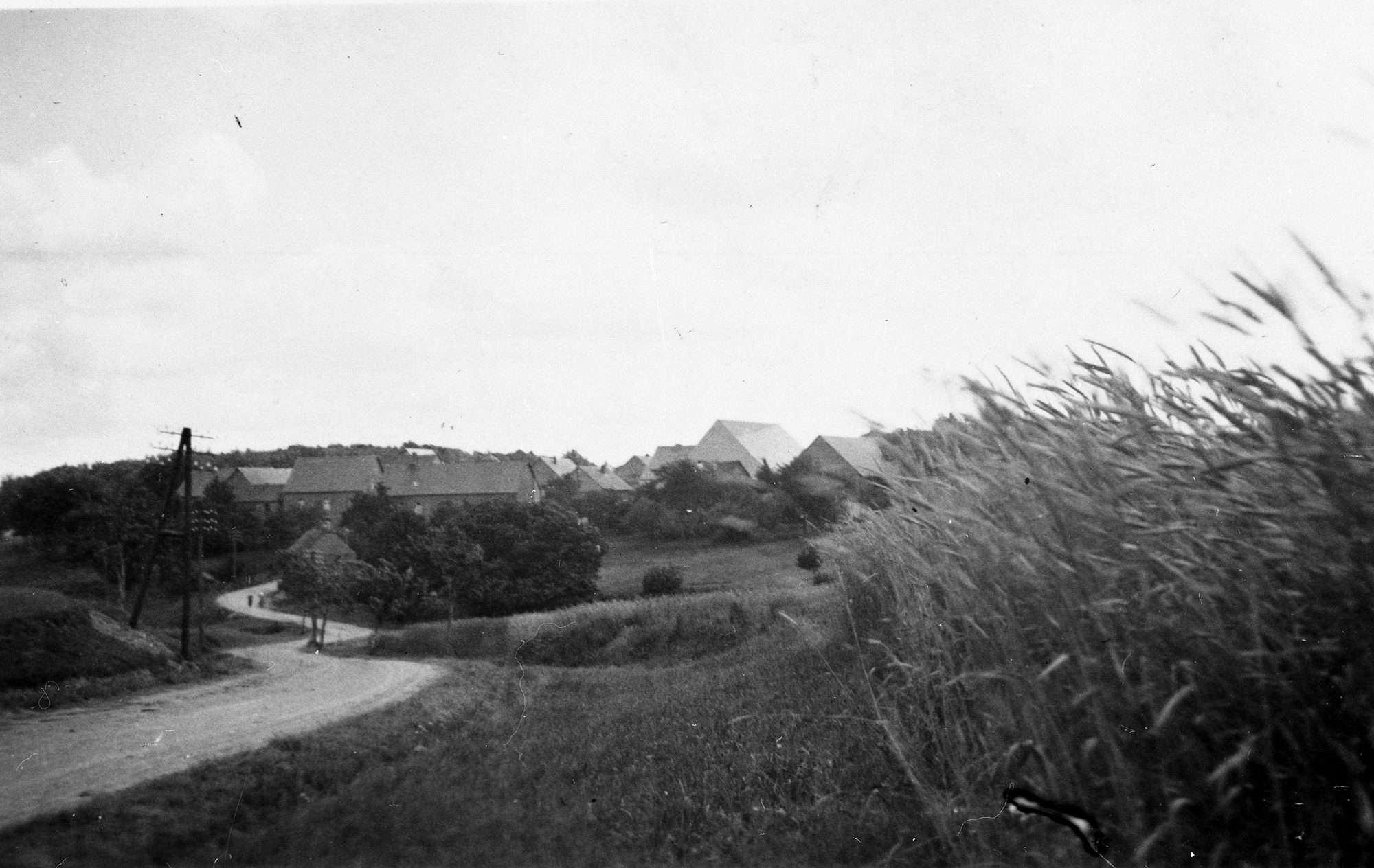 Straße von Kirchberg nach Maitzborn